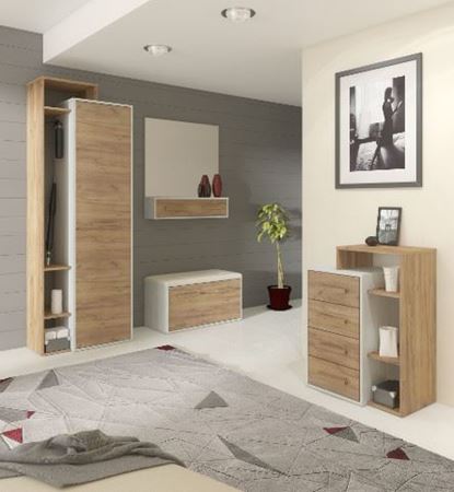 Attēls  Priekšnama iekārta RIO 12 (6 krāsas)