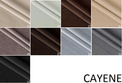 Attēls  2. kategorija CAYENE