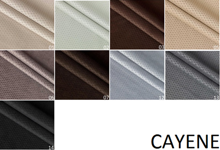 Attēls  2. kategorija CAYENE