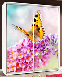 Изображение Шкаф PENELOPA 155 (Графика)