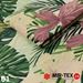 Attēls  3. kategorija TROPIC