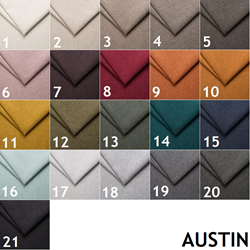 Изображение 1. категория AUSTIN