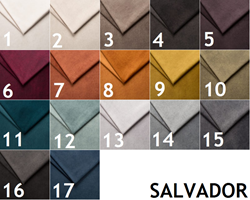 Изображение 1. категория SALVADOR