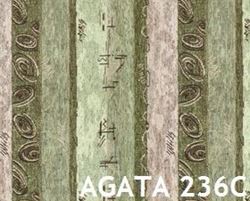 Изображение AGATA
