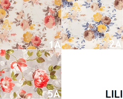 Изображение LILI