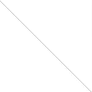 Арктический белый