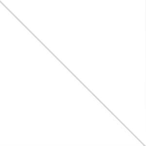 Арктический белый