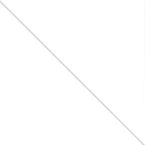 Арктический белый